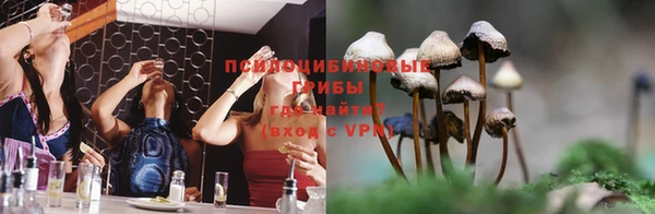 spice Вяземский