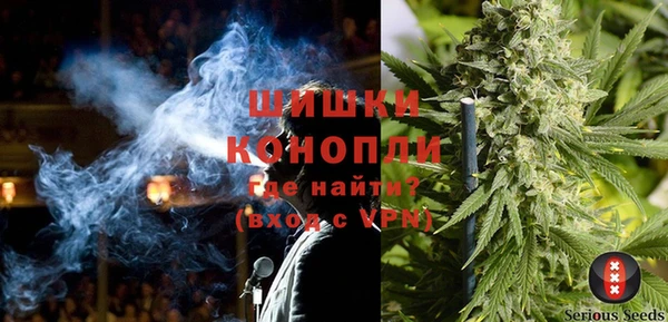 spice Вяземский