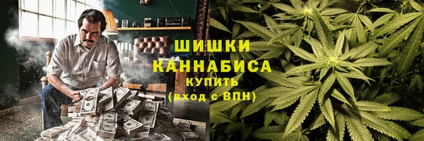 spice Вяземский