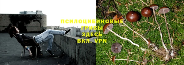 прущие крисы Вязьма