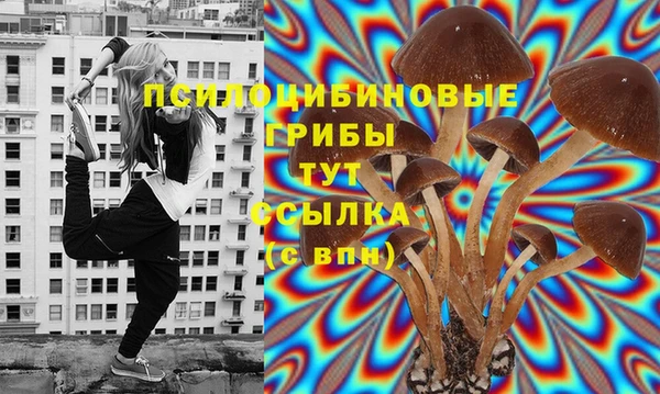 spice Вяземский