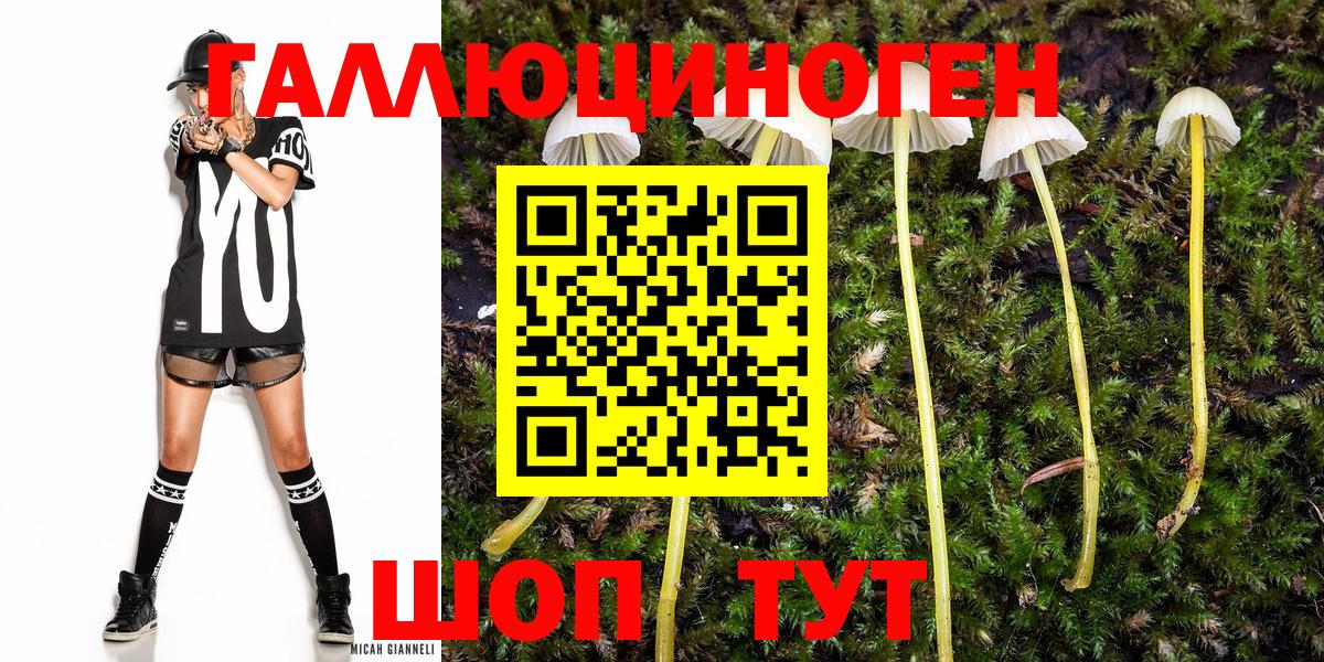 Мончегорск  Псилоцибиновые грибы ЛСД  Вход с VPN 