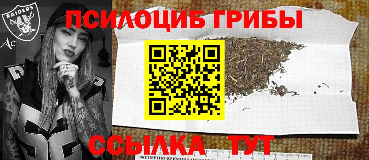 Галлюциногенные грибы Cubensis Мончегорск