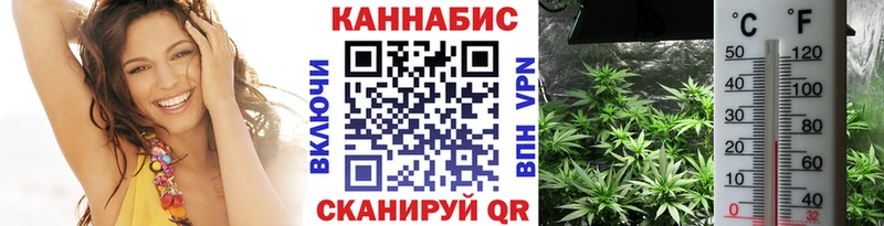 гидра ссылка Мончегорск Бошки Шишки тримм